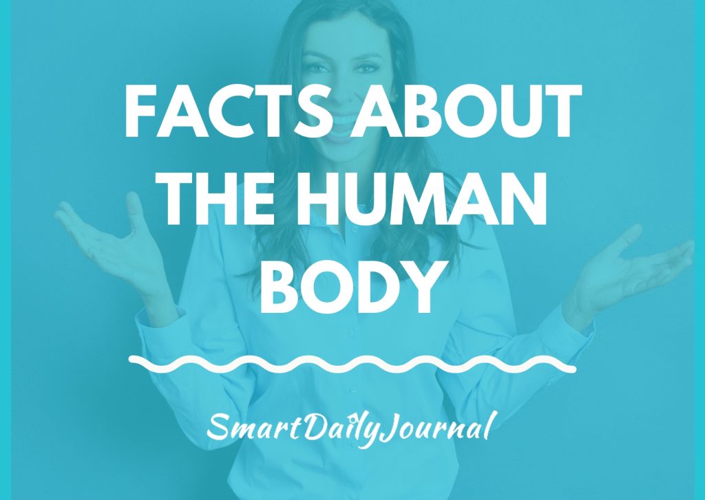 167 Facts About Human Body Human Body Facts